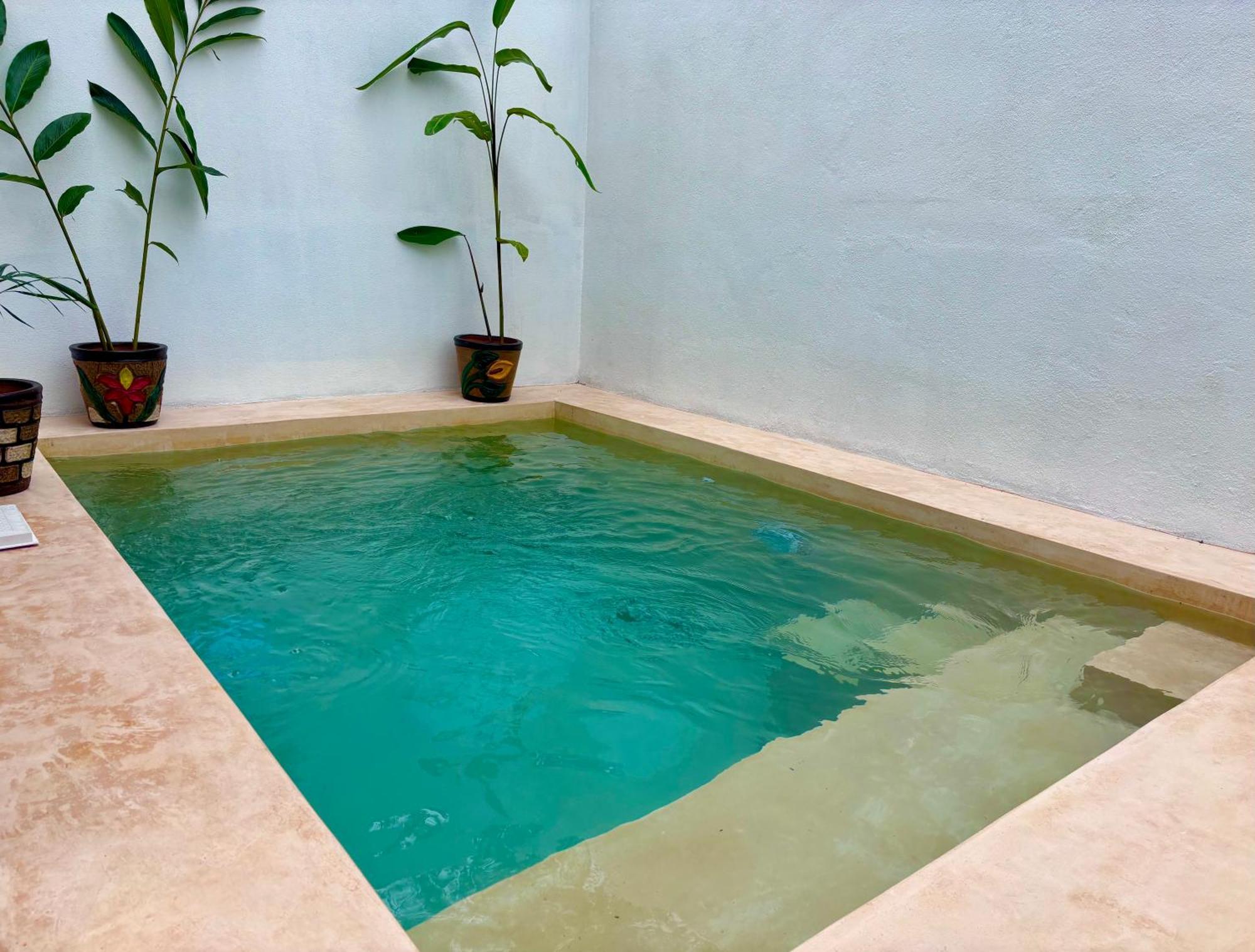 Excelente Alberca Privada En Residencial Privado, Gym, Asador Villa Ciudad Valles Buitenkant foto