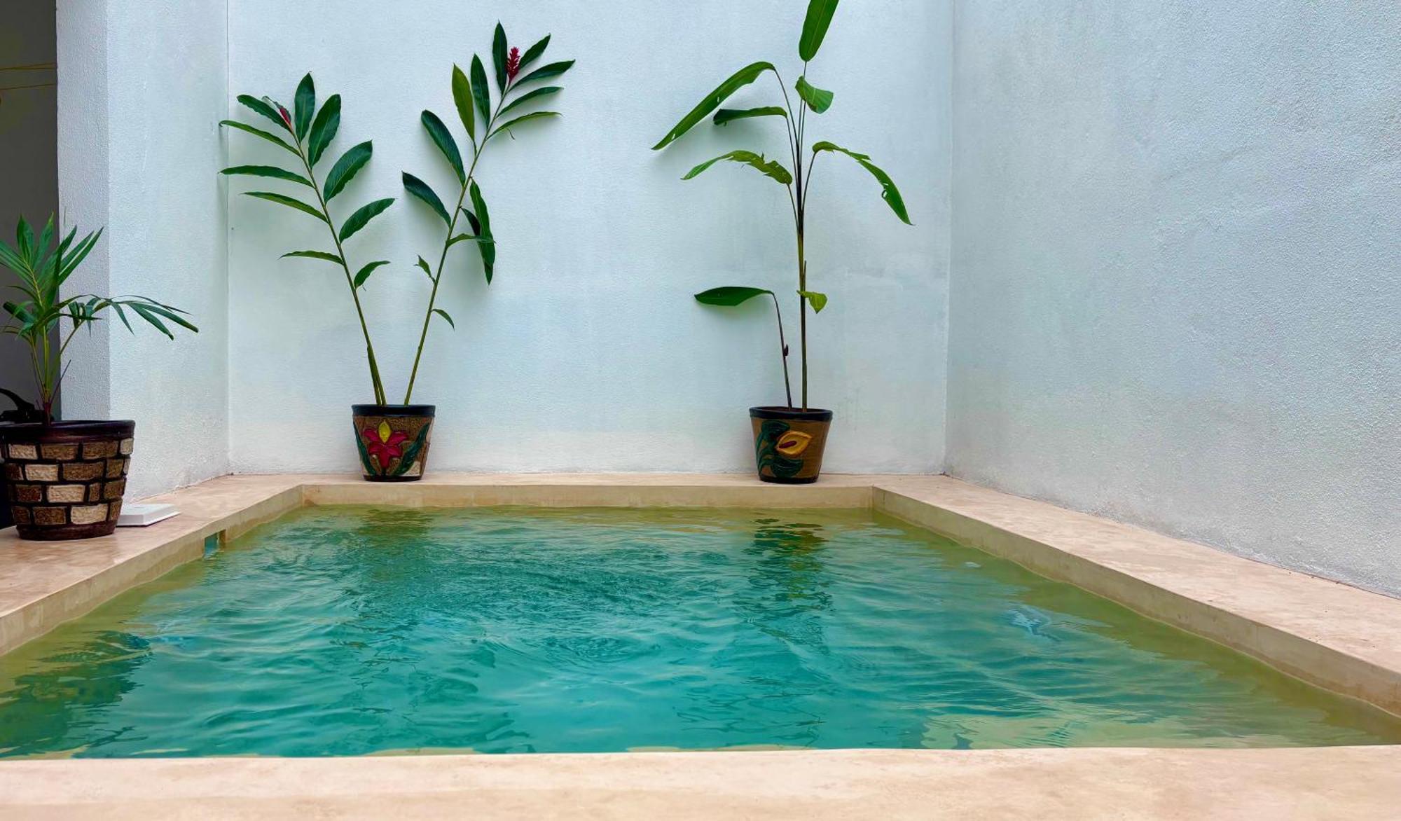 Excelente Alberca Privada En Residencial Privado, Gym, Asador Villa Ciudad Valles Buitenkant foto