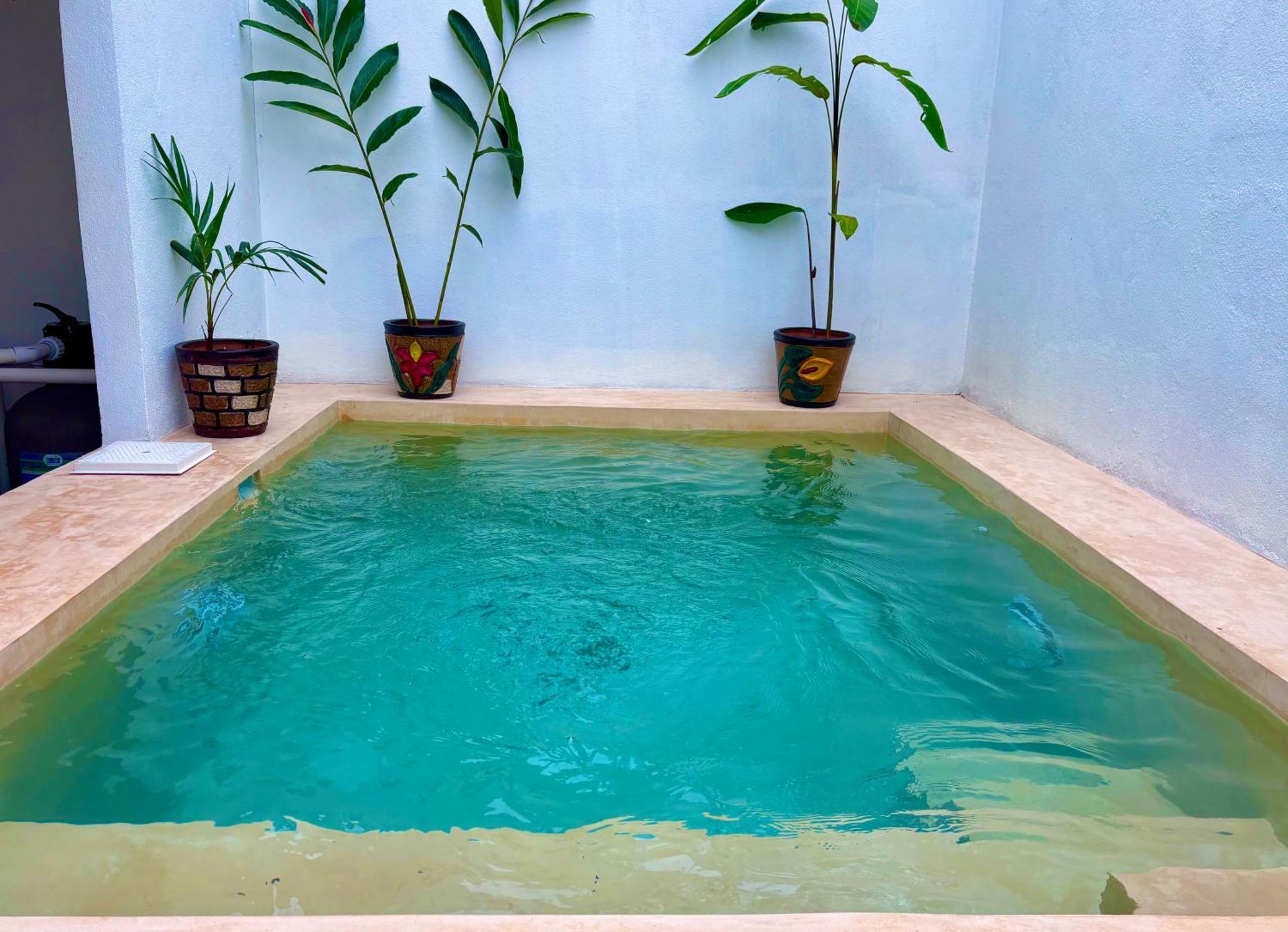 Excelente Alberca Privada En Residencial Privado, Gym, Asador Villa Ciudad Valles Buitenkant foto