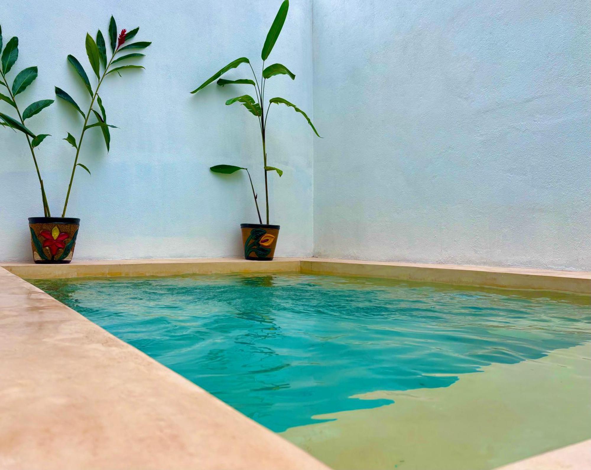 Excelente Alberca Privada En Residencial Privado, Gym, Asador Villa Ciudad Valles Buitenkant foto